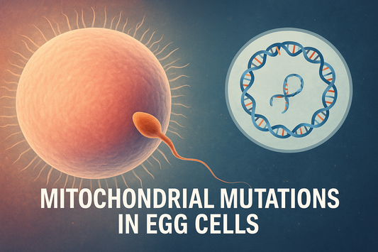 Has the "Aging Mutation Curse" Been Broken? Today's Science Sub-Journal: Mitochondrial Mutations in Oocytes Don't Accumulate with Age — Are Late Pregnancy Risks Overestimated?