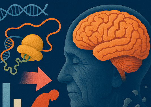 Aging “Drains” 25% of Brain Proteins? Today in Science: The Truth About Brain Aging May Lie in the “Last Mile” of Protein Synthesis!