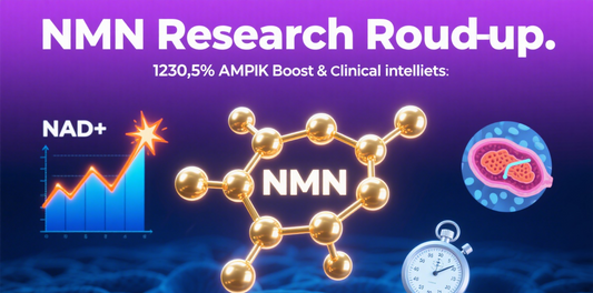 1230.5% AMPK Activity Boost?Continued Promising Effects