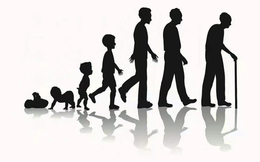 When Does Aging Begin? Top Scientists Debate the Origins, Nature, and Reversibility of Aging