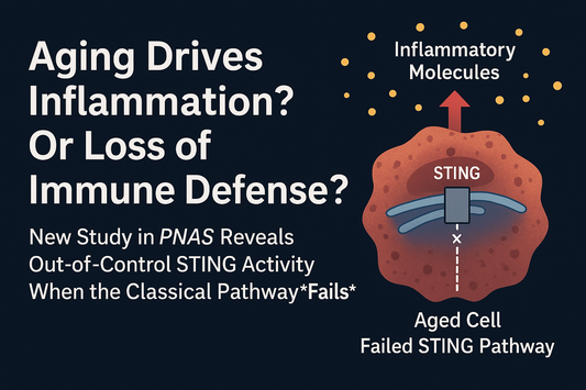 Life Extension by 26%! PNAS: Blocking the “Rogue Pro-Aging Pathway” Reverses Vascular Degeneration, Repairs Metabolic Disorders, and Alleviates Aging Across the Board!