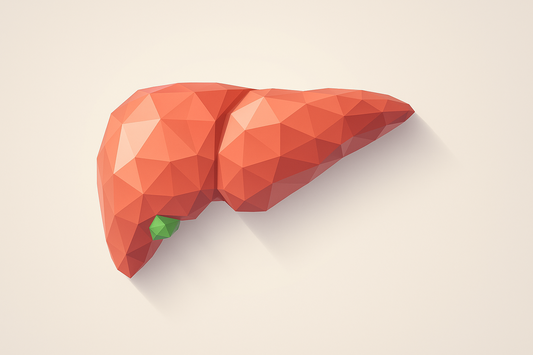 Liver Recovery
