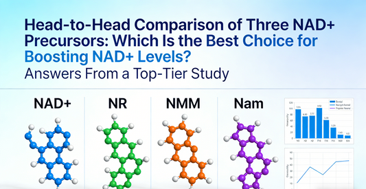 Head-to-Head Comparison of Three NAD+ Precursors: Which Is the Best Choice for Boosting NAD+ Levels? Answers From a Top-Tier Study