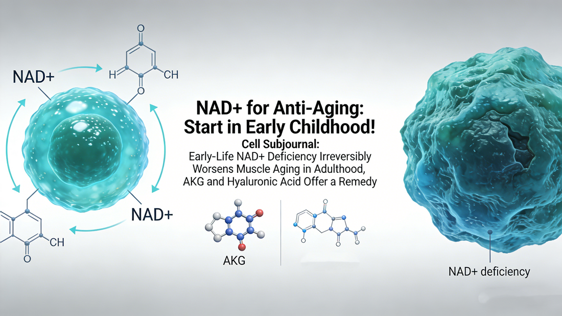 NAD+ for Anti-Aging: Start in Early Childhood! Cell Subjournal: Early-Life NAD+ Deficiency Irreversibly Worsens Muscle Aging in Adulthood, AKG and Hyaluronic Acid Offer a Remedy