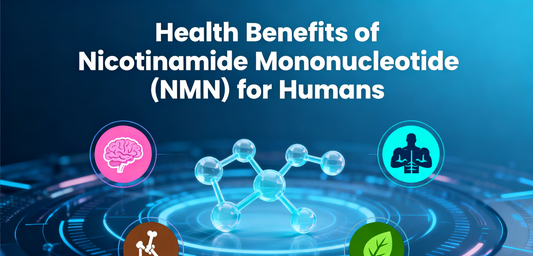 Health Benefits of Nicotinamide Mononucleotide (NMN) for Humans