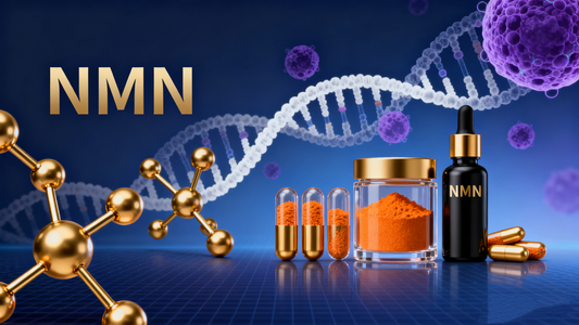 The Complete Guide to NMN, the "Anti-Aging Supplement": How to Take It? What Dosage? Does It Cause Cancer? Why Isn’t It Working for Me? All Your NMN Questions Answered Here!