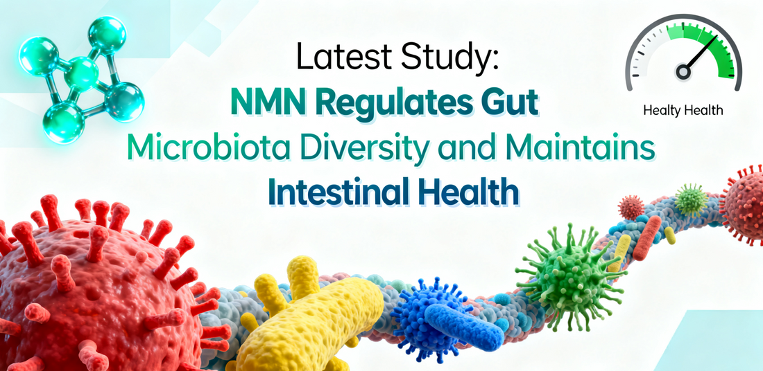Latest Study: NMN Regulates Gut Microbiota Diversity and Maintains Intestinal Health