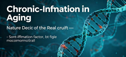 Chronic Inflammation in Aging: Nature Identifies the Real Culprit—Not Inflammatory Factors, But Fragile Mitochondrial DNA!