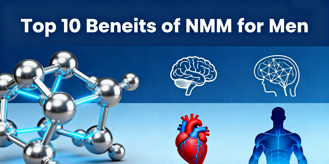 Top 10 Benefits of NMN for Men (Recommended for Saving)