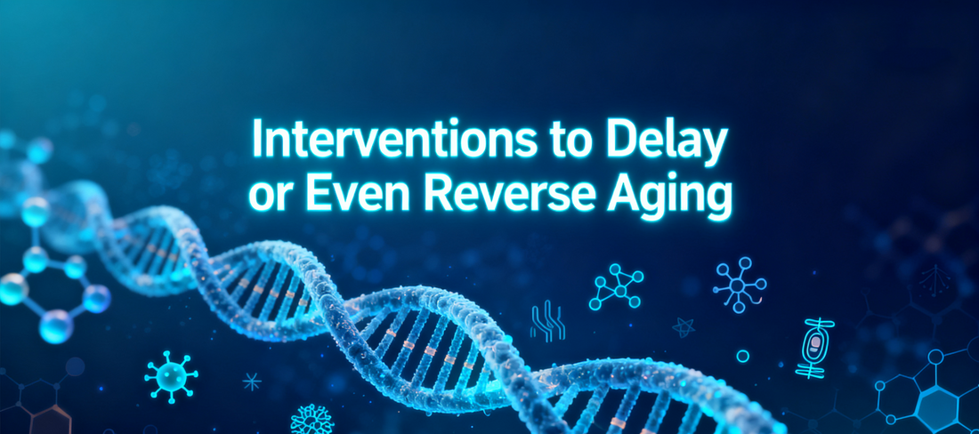 Interventions to Delay or Even Reverse Aging: A Comprehensive Analysis of Aging Mechanisms and Strategies