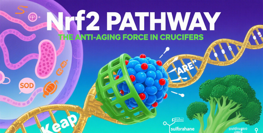 Why Is the Immune Army Growing Weaker? Nature Sub-Journal Reveals: These Pathways Are Doing More Harm Than Good!