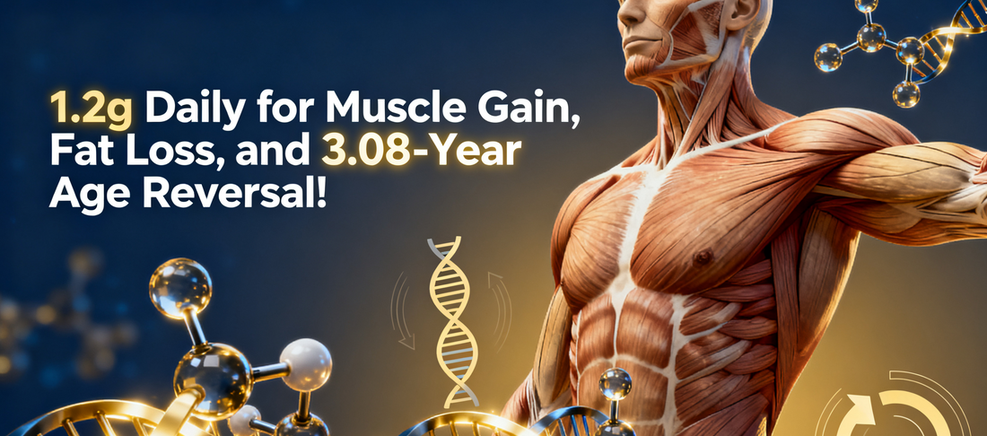 1.2g Daily for Muscle Gain, Fat Loss, and 3.08-Year Age Reversal! Peking University Clinical Study Reveals: A Common Daily Food Is a Hidden "Longevity Supplement"!