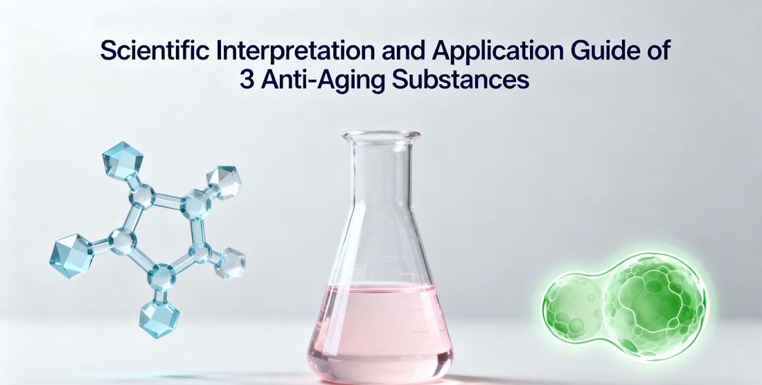 Scientific Interpretation and Application Guide of 3 Anti-Aging Substances