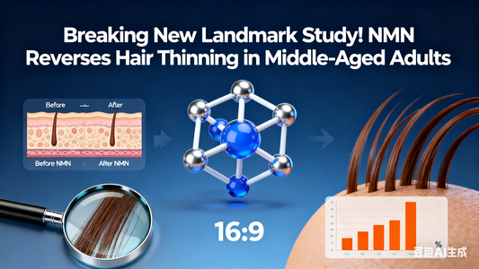 Breaking New Landmark Study! NMN Reverses Hair Thinning in Middle-Aged Adults
