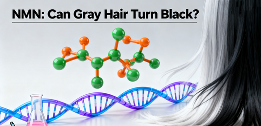 NMN: Can Gray Hair Turn Black?