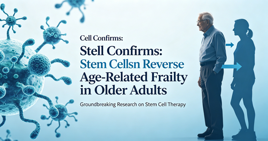 Cell Confirms: Stem Cells Can Reverse Age-Related Frailty in Older Adults