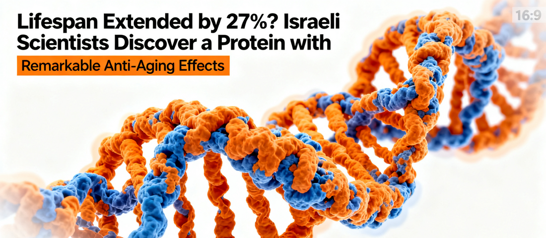 Lifespan Extended by 27%? Israeli Scientists Discover a Protein with Remarkable Anti-Aging Effects