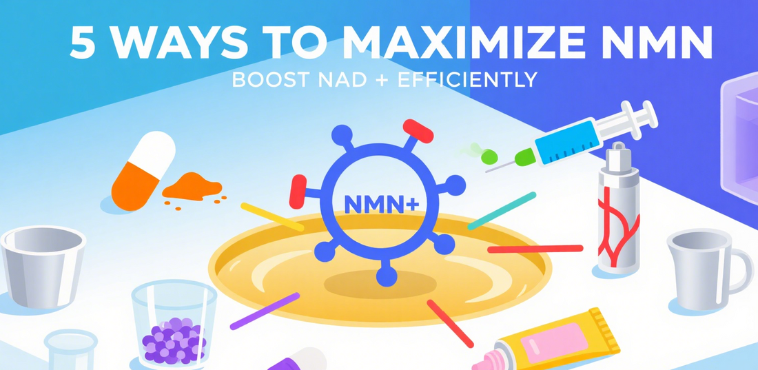 Boost Blood NAD+ by Up to 20%! 5 Ways to Use NMN—Choose Your Top Anti-Aging Method
