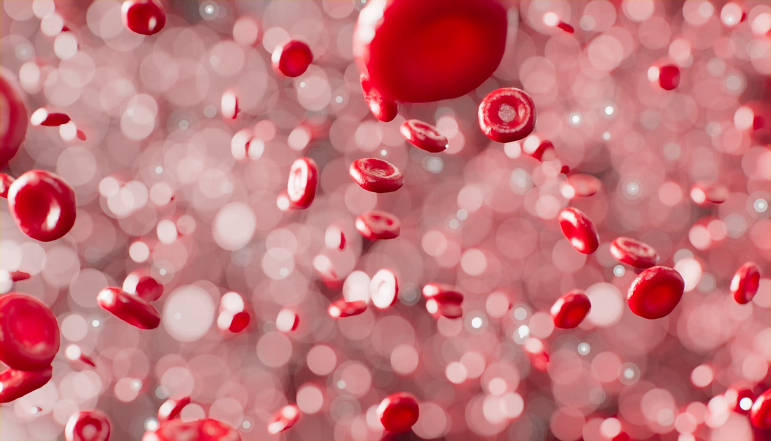 Could Ergothioneine Make a Comeback via NAD⁺ and Become the New Star of Anti-Aging?
