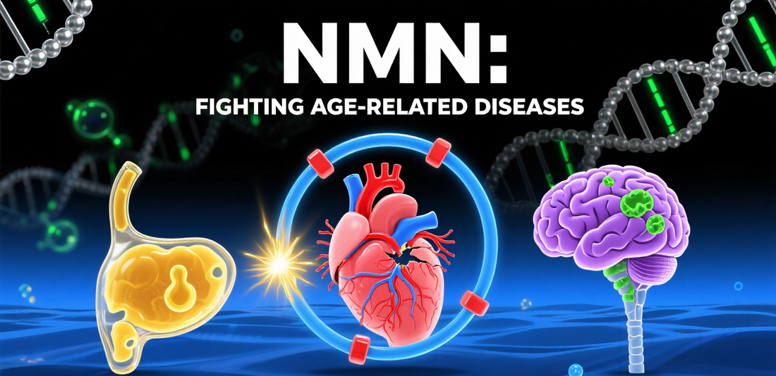 Efficacy of NMN