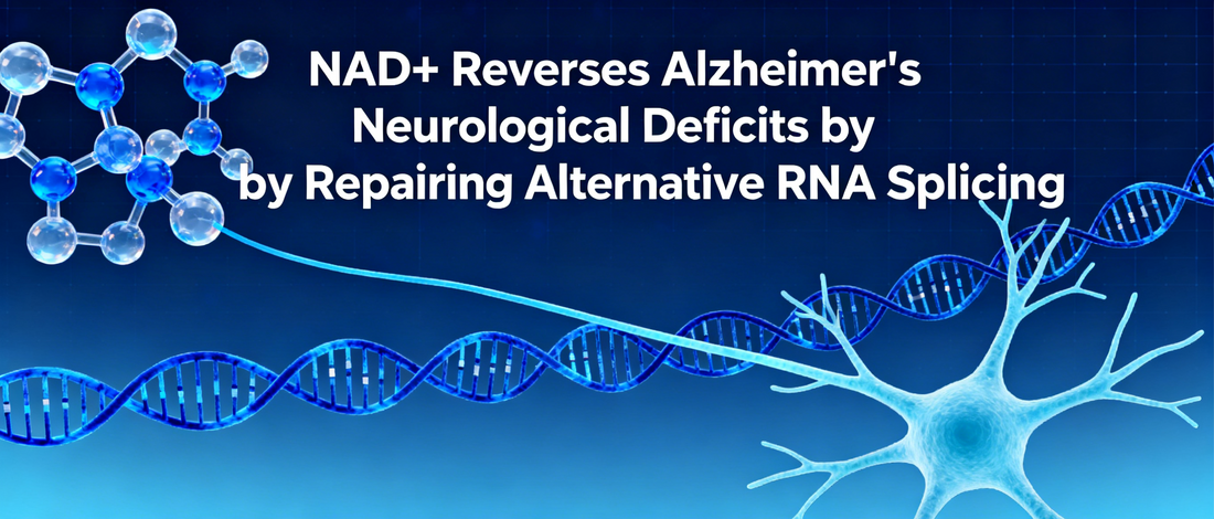 NAD+ Reverses Alzheimer's Neurological Deficits by Repairing Alternative RNA Splicing