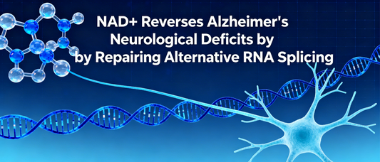 NAD+ Reverses Alzheimer's Neurological Deficits by Repairing Alternative RNA Splicing