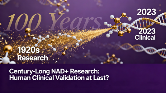 Century-Long NAD+ Research Finally Gains Human Clinical Validation? Prof. Evandro Fei Fang’s Landmark Nature Aging Review: From Safety Limits to Gender Differences, A Comprehensive Look at Clinical Progress