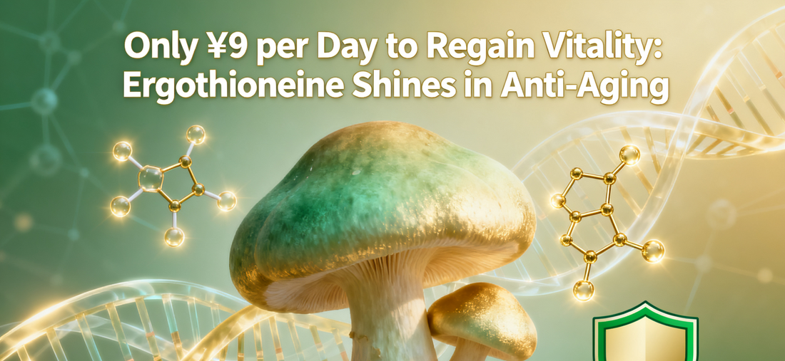 Only ¥9 per Day to Regain Vitality: How Ergothioneine, Long Overlooked by the Skincare Industry, Shines in Anti-Aging