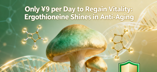 Only ¥9 per Day to Regain Vitality: How Ergothioneine, Long Overlooked by the Skincare Industry, Shines in Anti-Aging