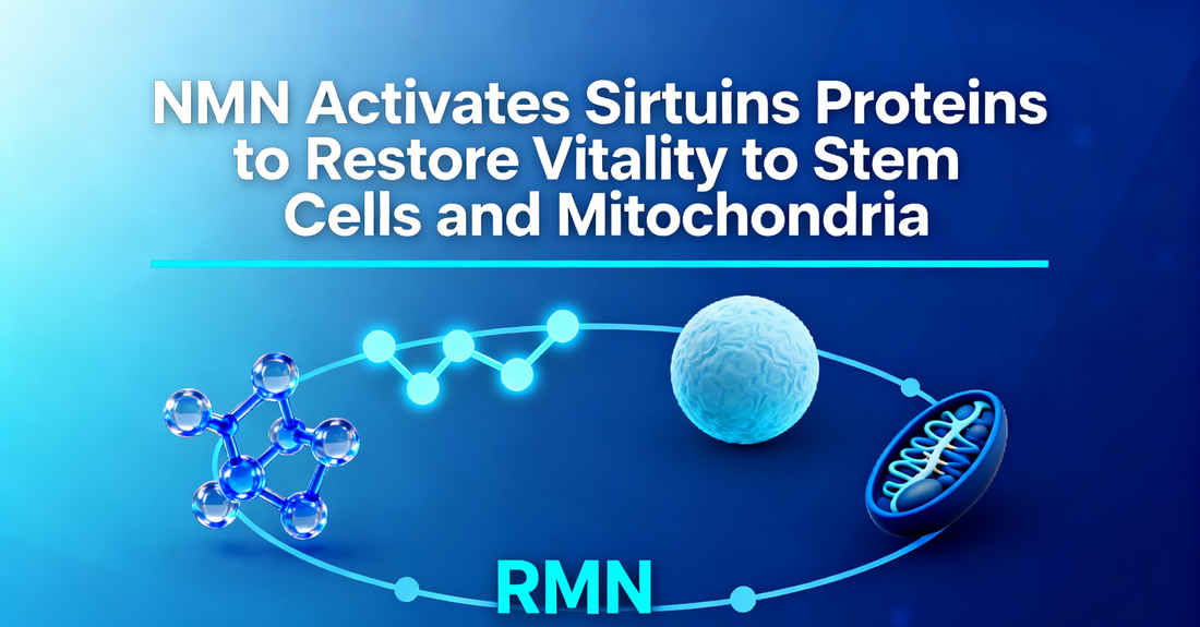 NMN Activates Sirtuins Proteins to Restore Vitality to Stem Cells and Mitochondria