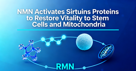 NMN Activates Sirtuins Proteins to Restore Vitality to Stem Cells and Mitochondria