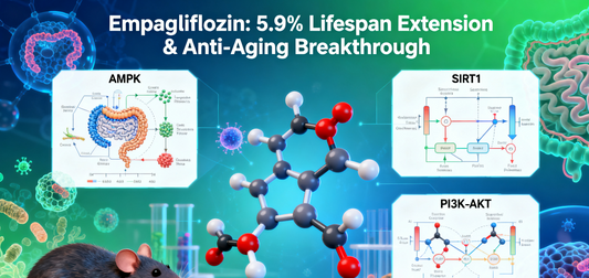 5.9% Lifespan Extension? The Anti-Aging "Superdrug Family" Gains a New Member? Chongqing Medical University Team: Comprehensive Improvements in Lifespan, Motor Function, Cognition, and Gut Microbiota!