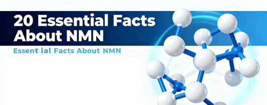 20 Essential Facts About NMN (Recommended for Saving)