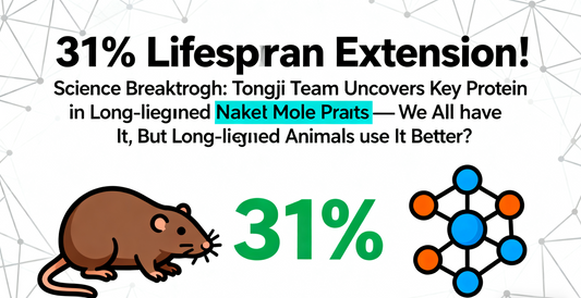 31% Lifespan Extension! Science Breakthrough: Tongji Team Uncovers Key Protein in Long-Lived Naked Mole-Rats—We All Have It, But Long-Lived Animals Use It Better?