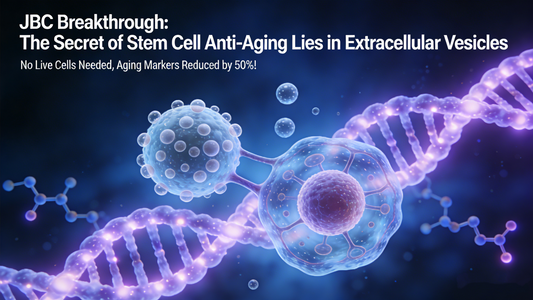 No Live Cells Needed, Aging Markers Reduced by 50%! JBC Breakthrough: The Secret of Stem Cell Anti-Aging Lies in Extracellular Vesicles