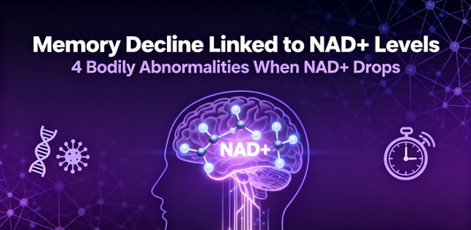 Memory Decline May Be Linked to This Molecule! Landmark Review: 4 Bodily Abnormalities Occur When NAD+ Levels Drop