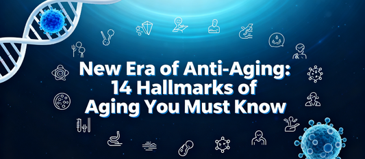 New Era of Scientific Anti-Aging: 14 Hallmarks of Aging You Must Know