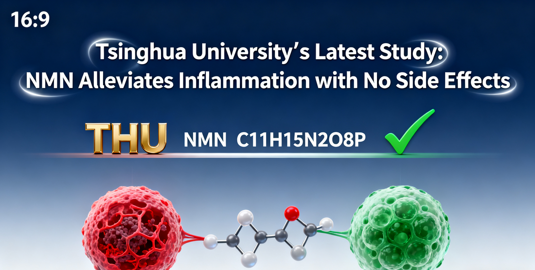 Tsinghua University’s Latest Study: NMN Alleviates Inflammation with No Side Effects