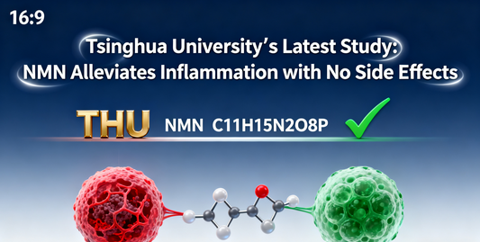 Tsinghua University’s Latest Study: NMN Alleviates Inflammation with No Side Effects